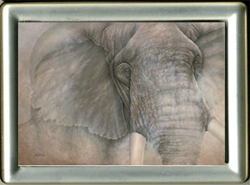 Elephant "Invincible"